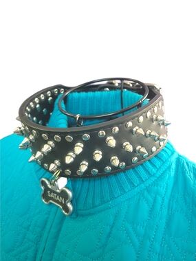 Black Studded Spike Leather Pet Collar with Custom Name Tag